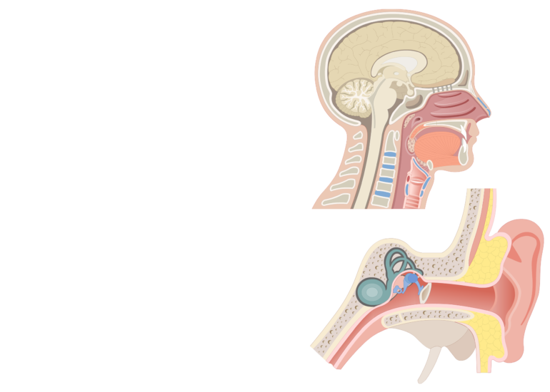 internal auditory canal eustachian tube mri