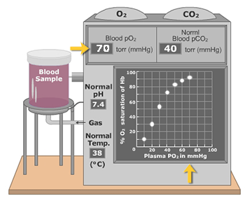 Oxygen-Hemoglobin Dissociation Curve, How pH, CO and CO2 Affect it